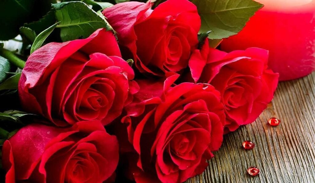 Çiçekler ve Anlamları - Gül